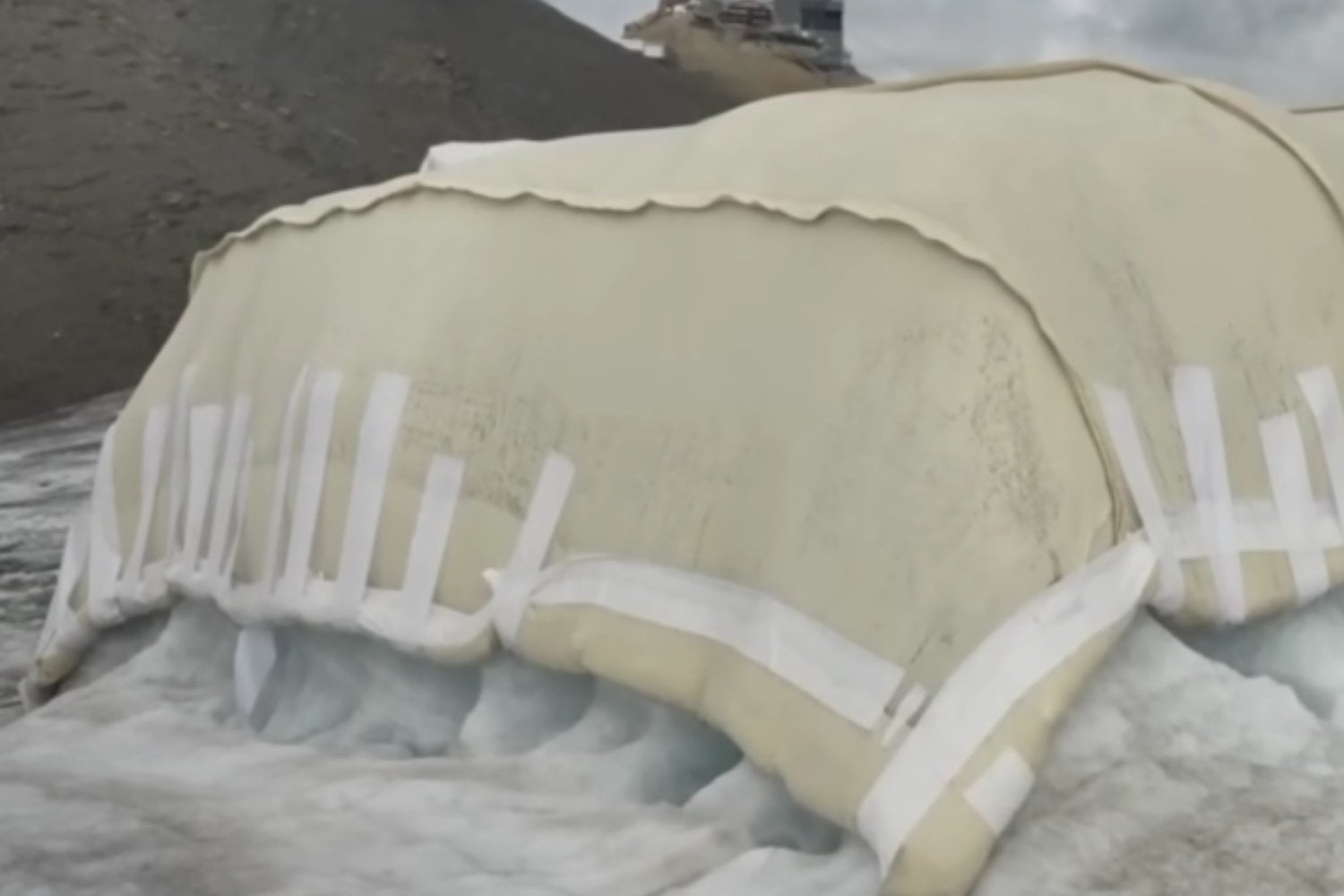 Suiza está cubriendo un glaciar con lana de oveja: el extraño experimento para frenar el deshielo sin utilizar plástico