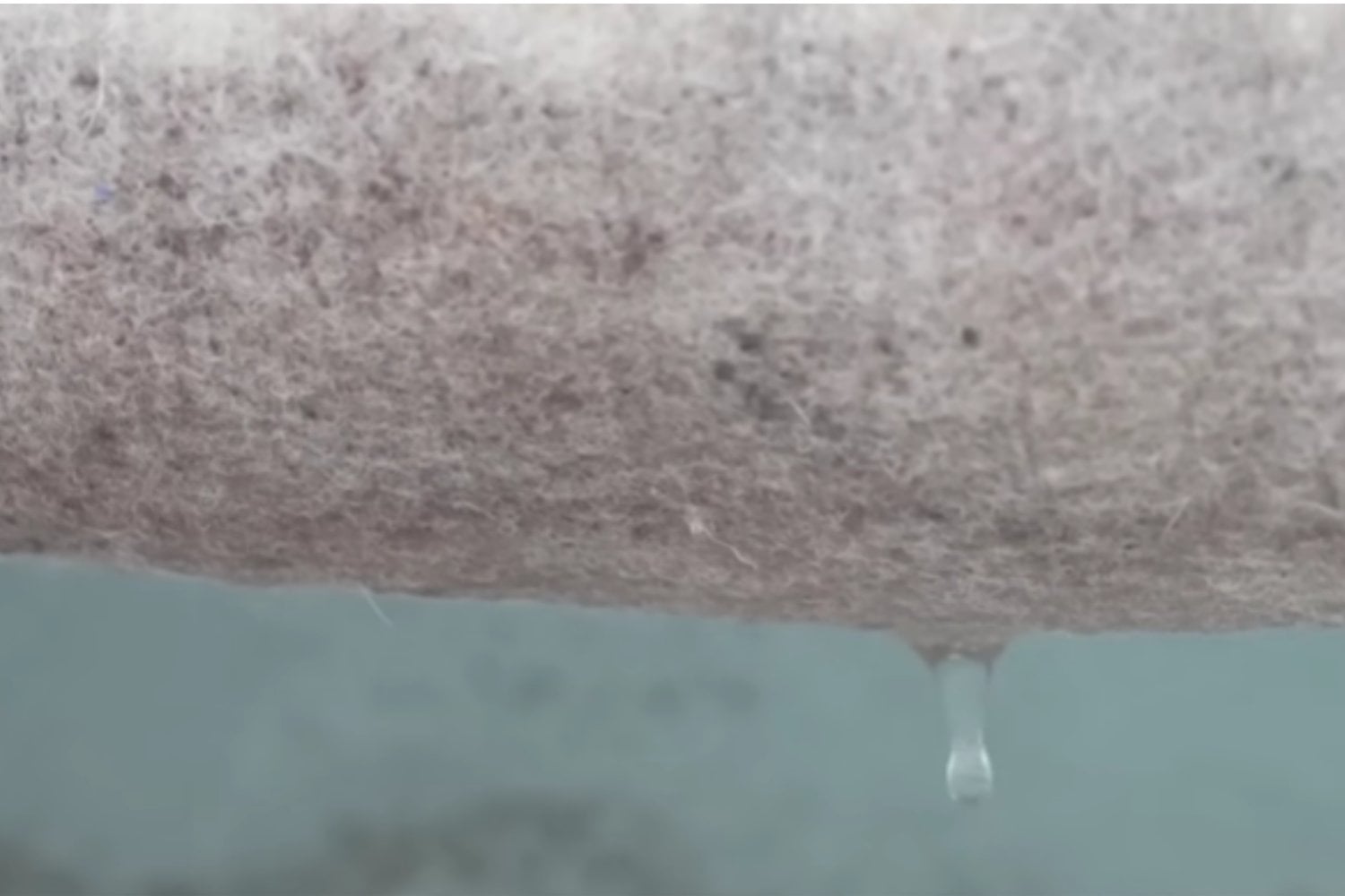 Suiza está cubriendo un glaciar con lana de oveja: el extraño experimento para frenar el deshielo sin utilizar plástico