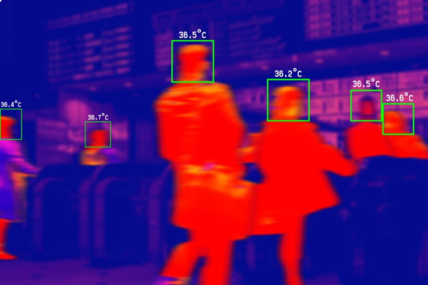 Por qué los humanos mantenemos unos 37 °C aunque cambie la temperatura exterior