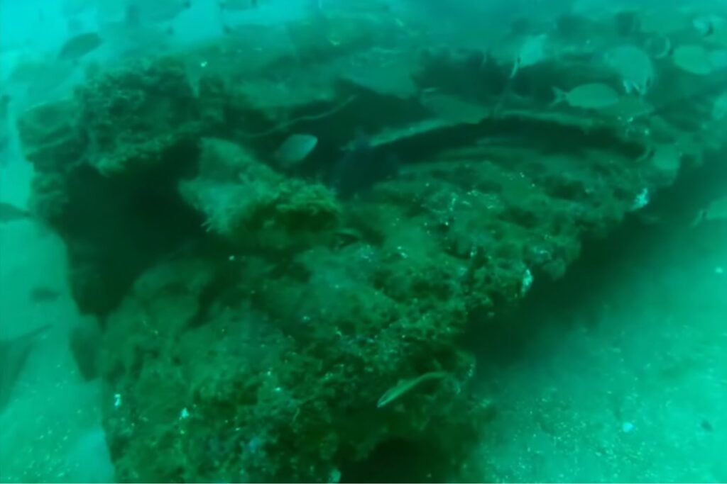 Estados Unidos hundió 100 tanques en 1994 y terminó creando un enorme arrecife artificial en el Golfo de México