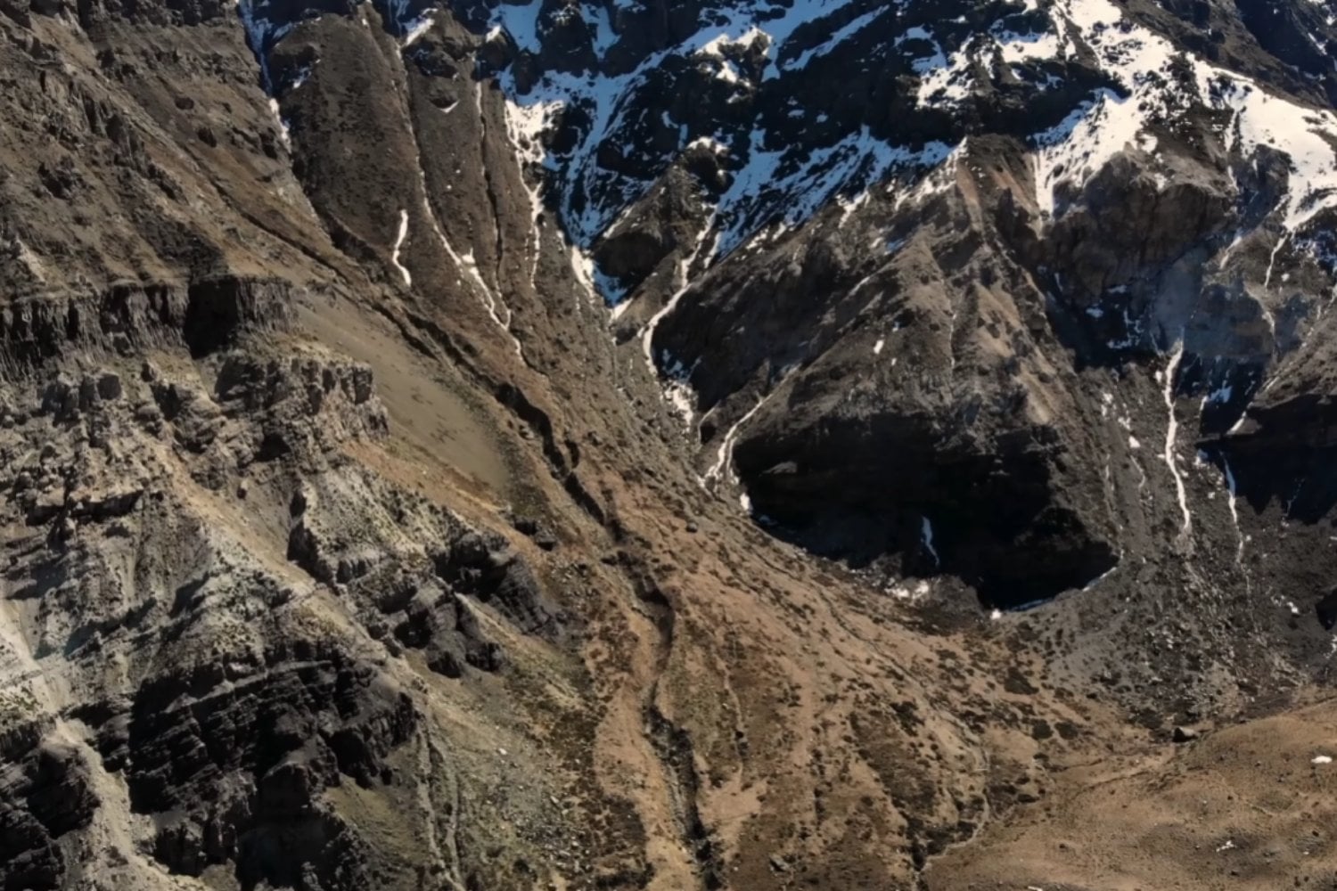 Hace 20 millones de años, la estepa patagónica era un bosque húmedo: los fósiles que lo confirman