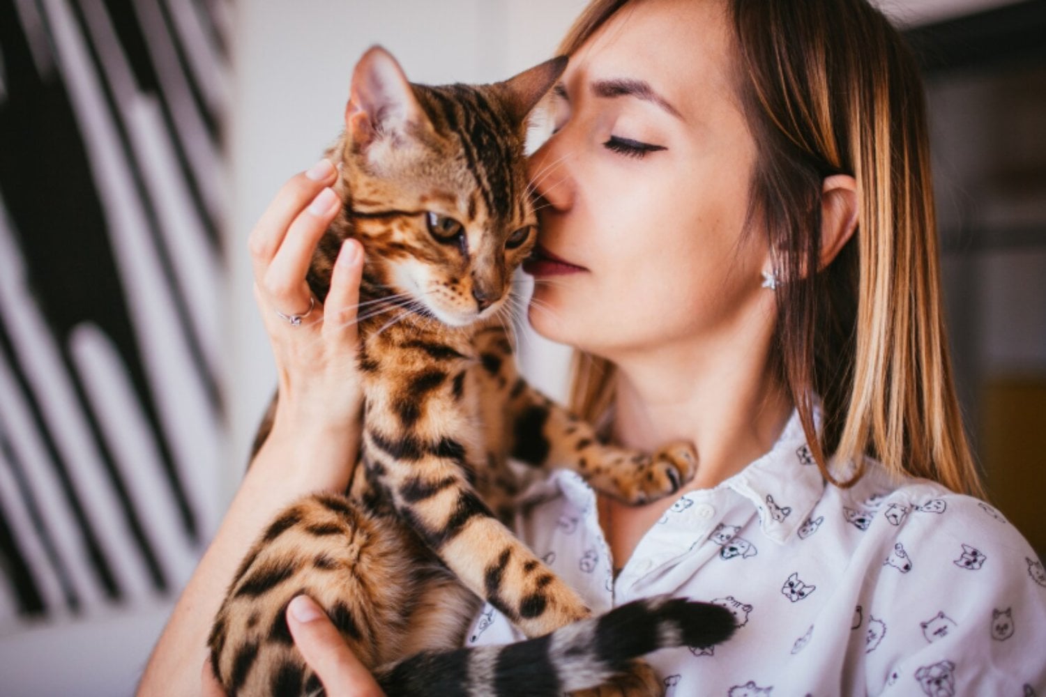 Los gatos son más sociales de lo que creíamos y pueden celebrar cuando sus tutores vuelven a casa