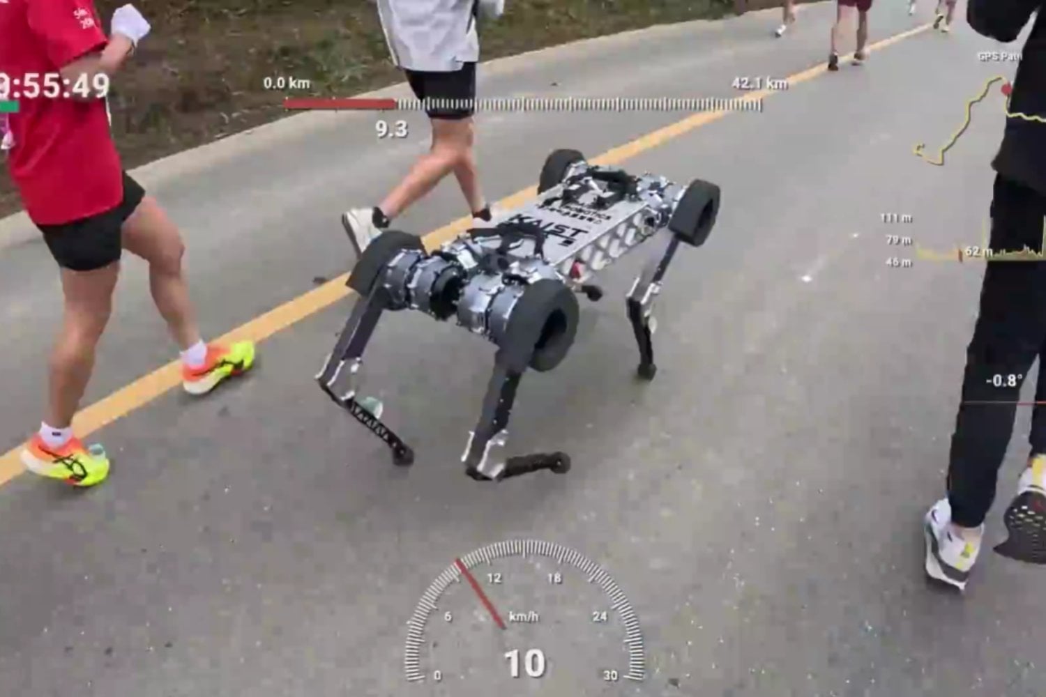 Un perro robot completó una maratón y podría haber seguido 25 kilómetros más