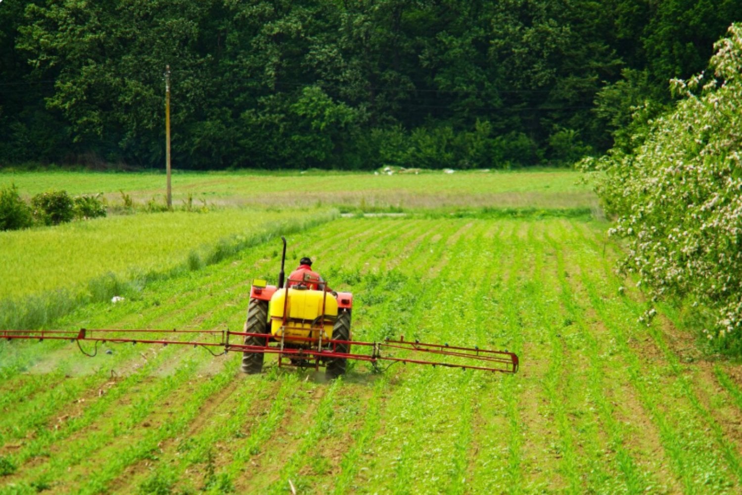 Adiós a los pesticidas químicos: una empresa del MIT está usando microbios modificados para proteger los cultivos