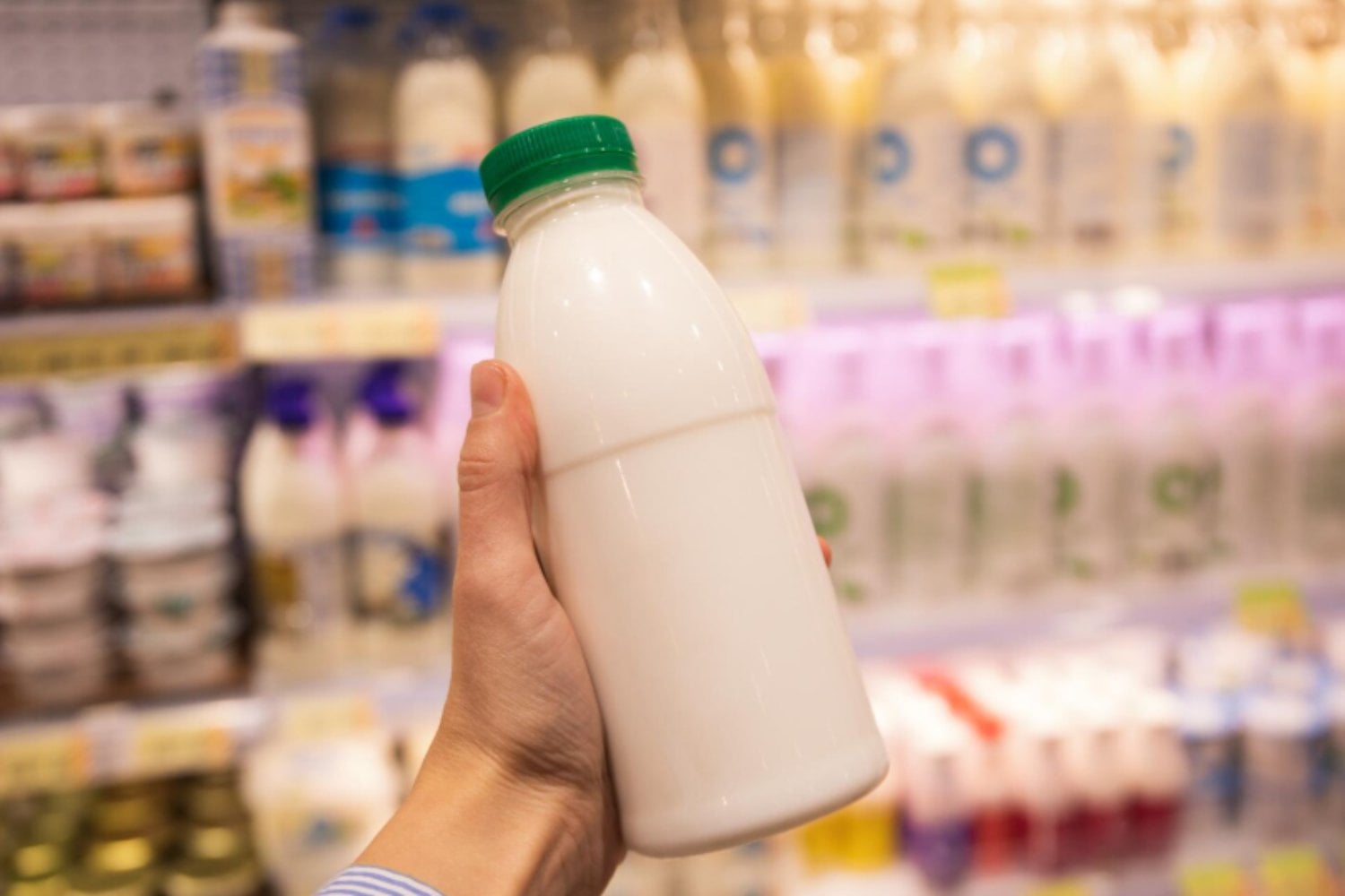 La leche de vaca no siempre fue un alimento cotidiano: así pasó de ser marginal a ocupar un lugar central en la dieta