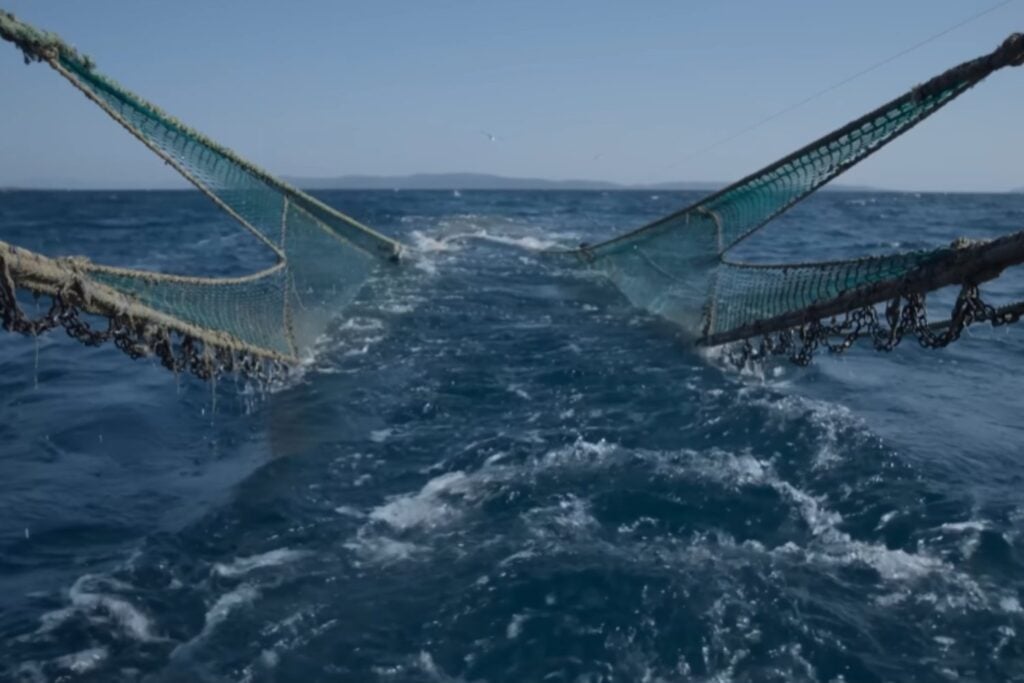 Cómo la pesca de arrastre transforma el fondo marino y amenaza a las comunidades bentónicas