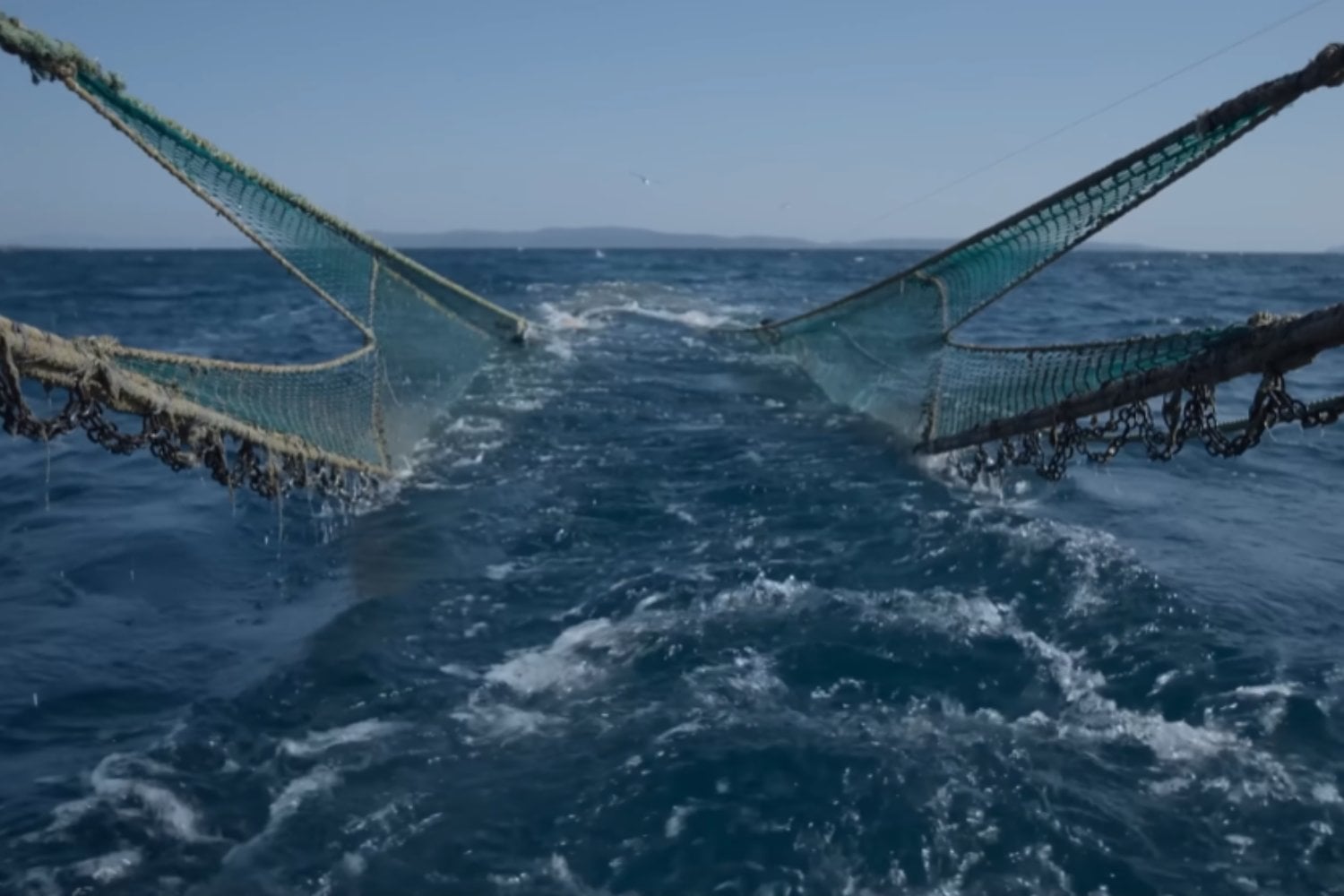 Cómo la pesca de arrastre transforma el fondo marino y amenaza a las comunidades bentónicas