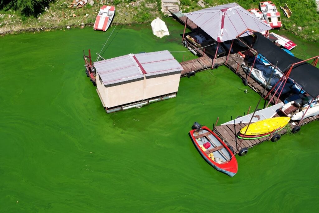 Nanotecnología argentina busca convertir el sol en un arma contra las toxinas del agua