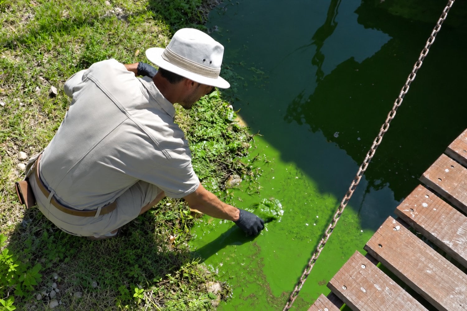 Nanotecnología argentina busca convertir el sol en un arma contra las toxinas del agua