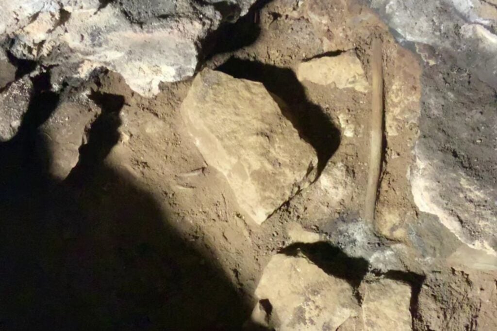 Una cueva de Australia conserva 25.000 años de plantas quemadas por los ancestros GunaiKurnai