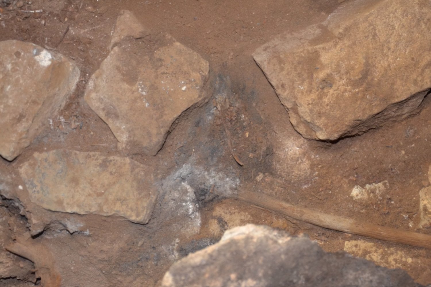 Una cueva de Australia conserva 25.000 años de plantas quemadas por los ancestros GunaiKurnai