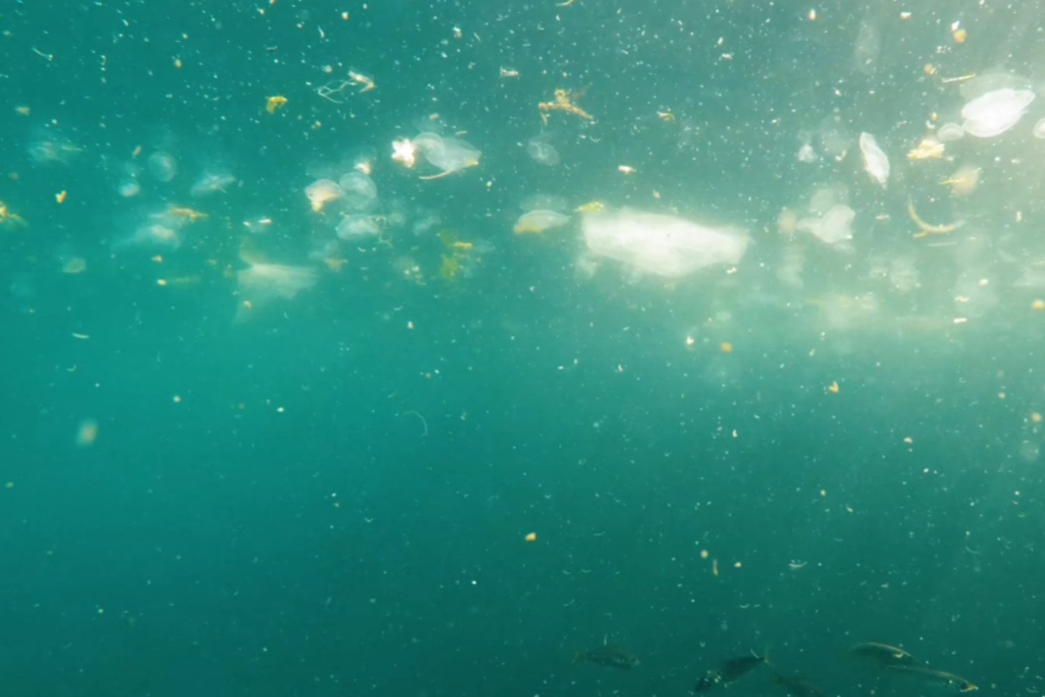 Los microplásticos ya están dentro de las nubes y podrían estar alterando cómo se forman la lluvia y el hielo
