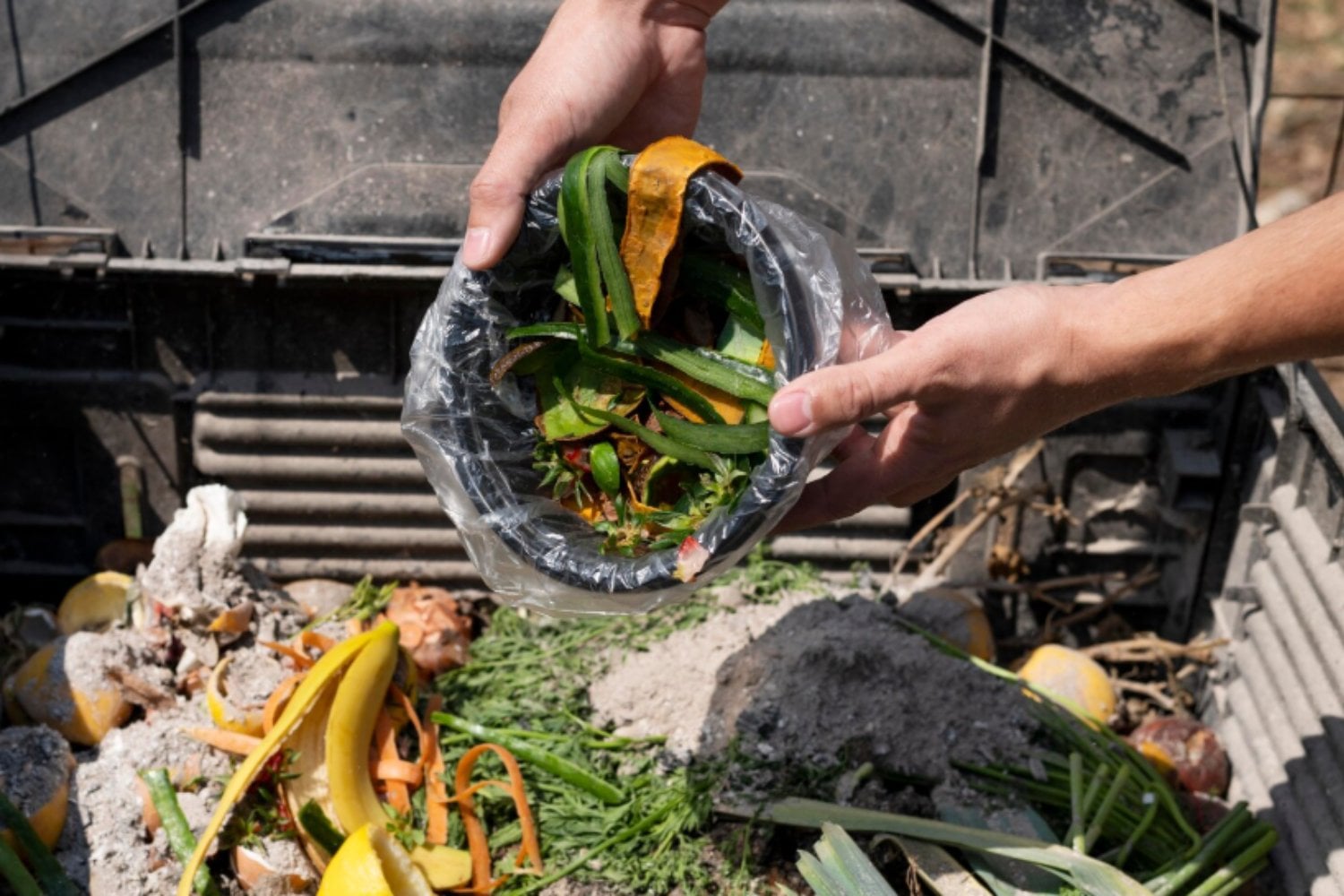 El compost también sufre con el calor: cómo evitar que se seque y deje de funcionar
