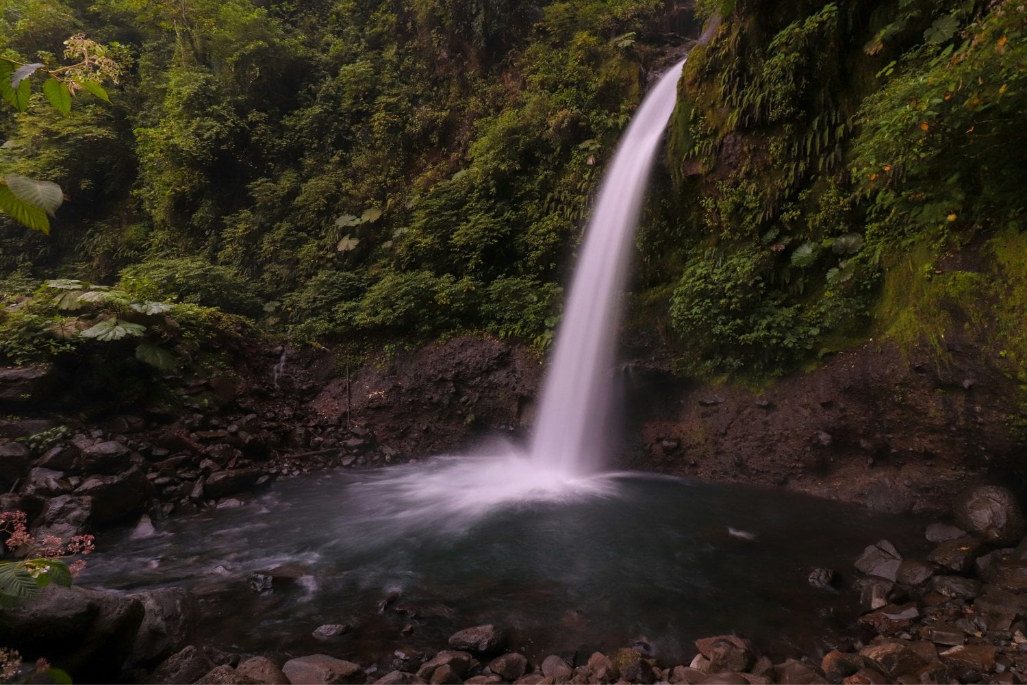 Alajuela