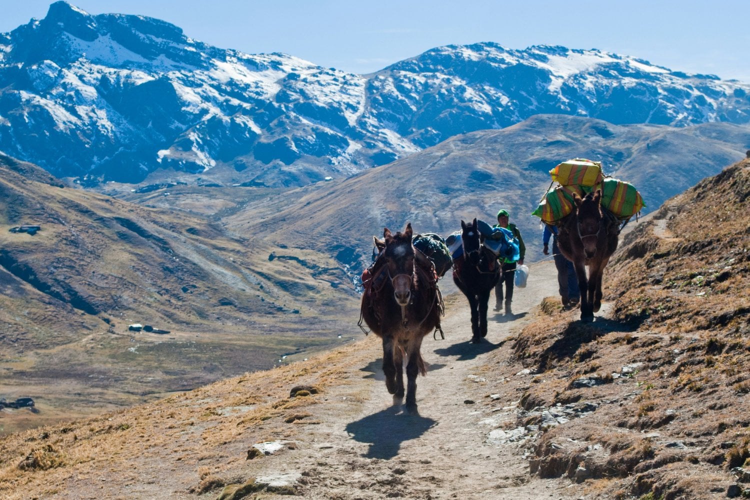Andes Peruanos