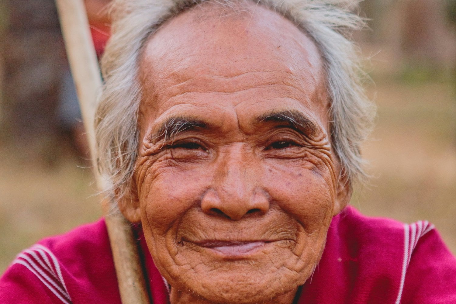 Asiatico Mayor