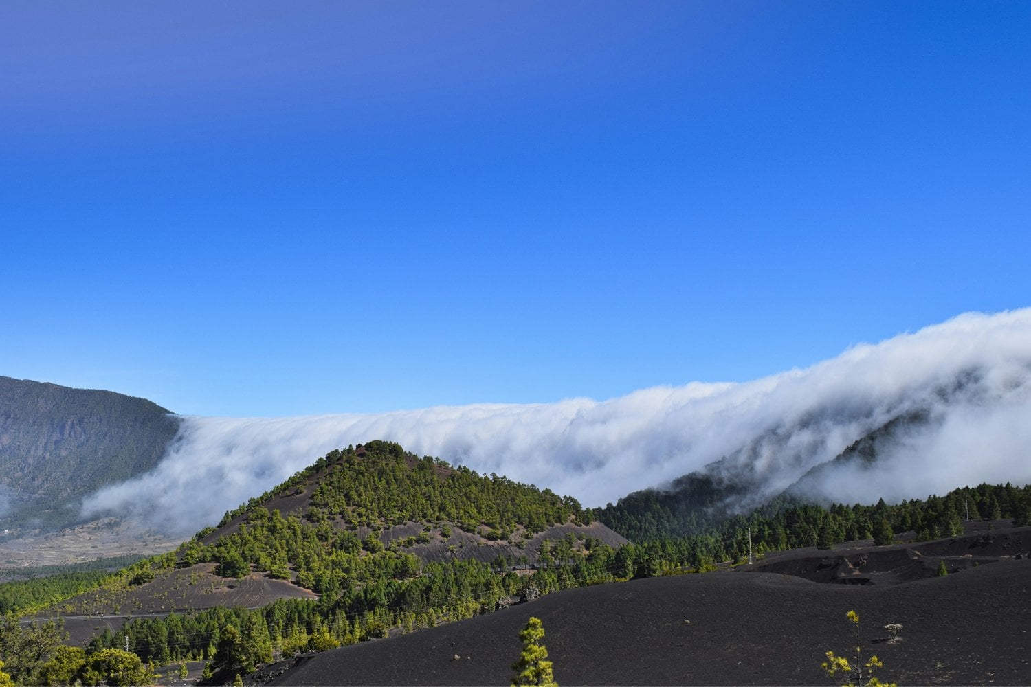 La Palma