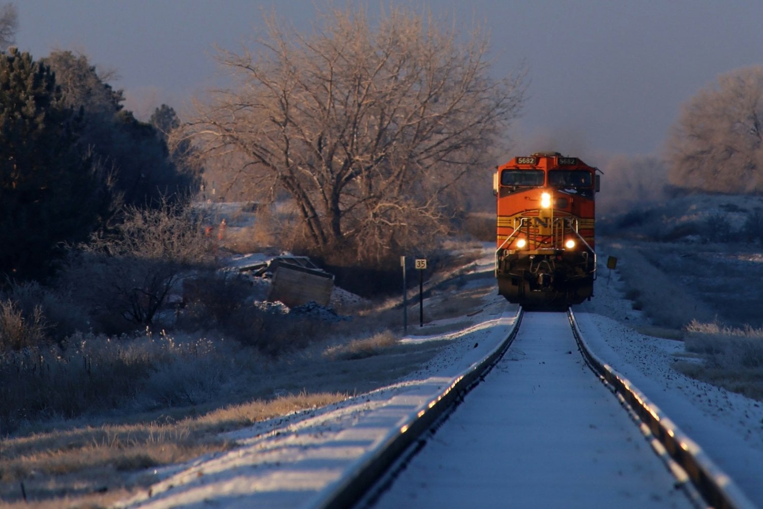 Locomotora