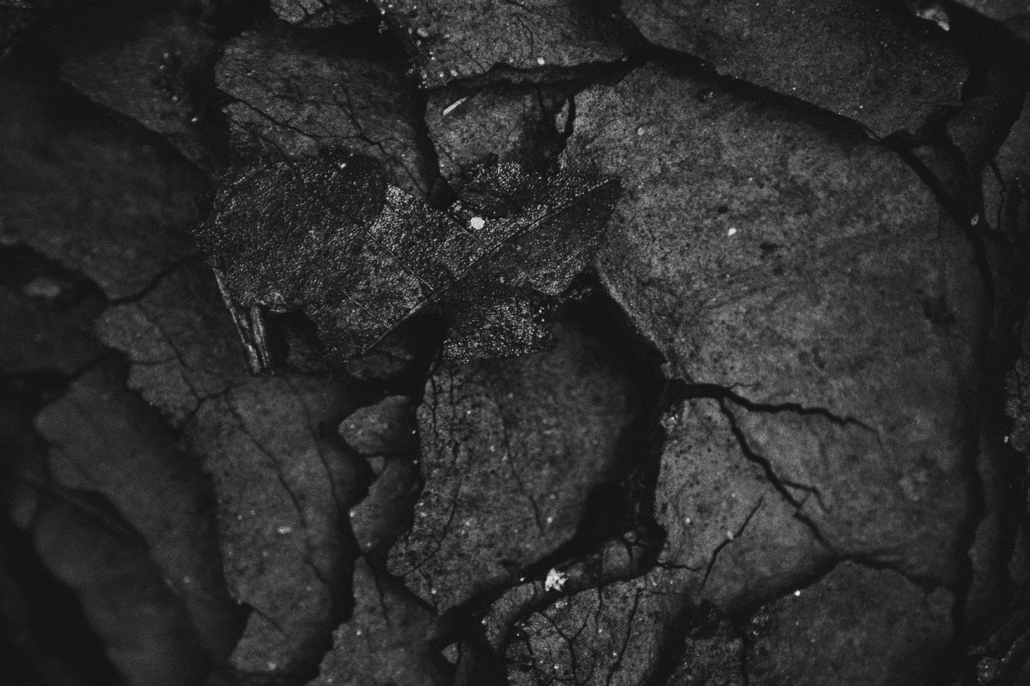 Materia Oscura