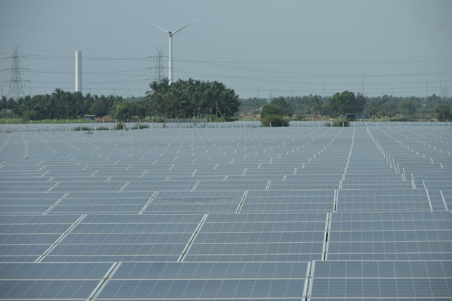 Megaplanta Solar