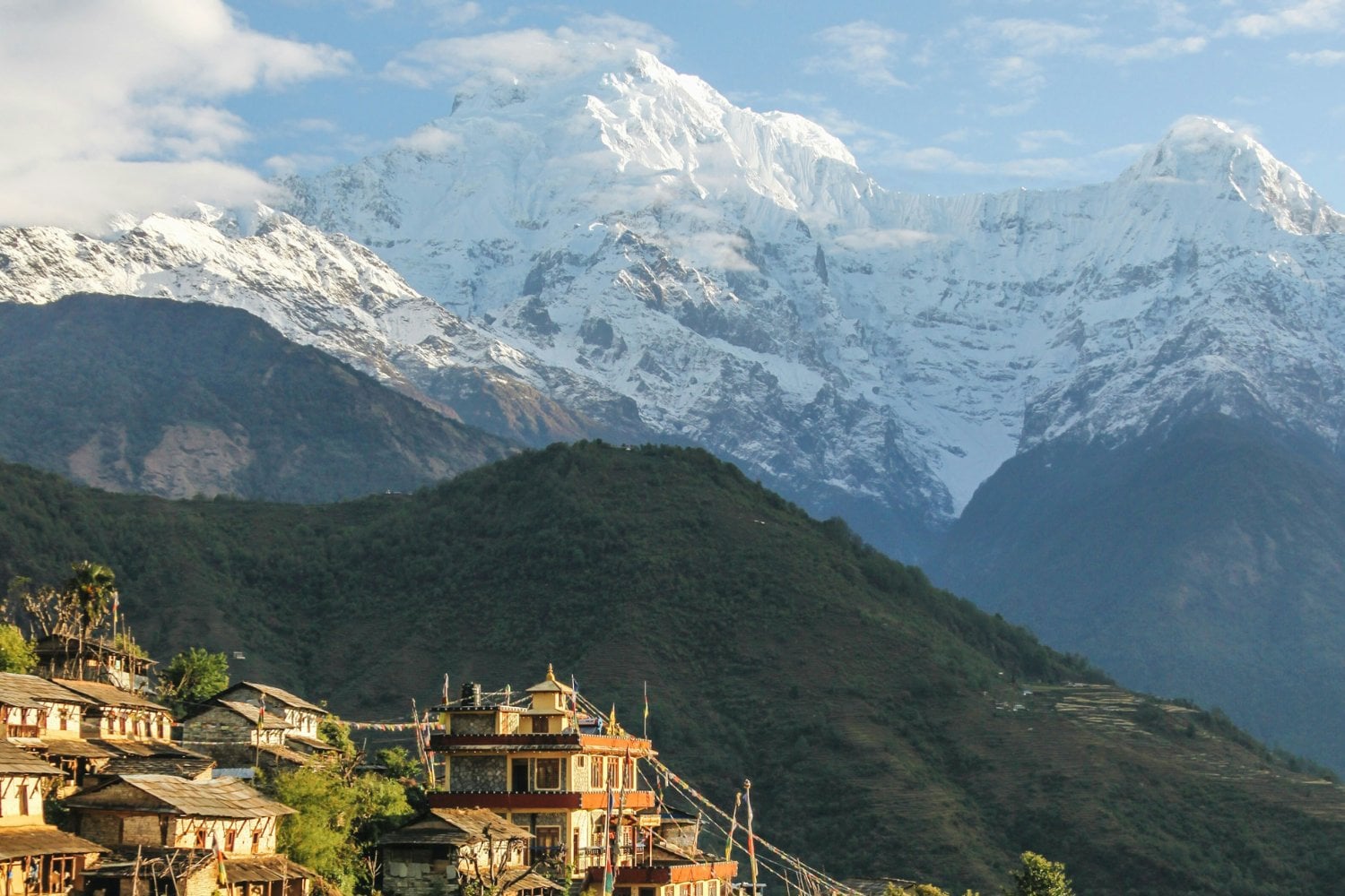 Nieve Himalaya