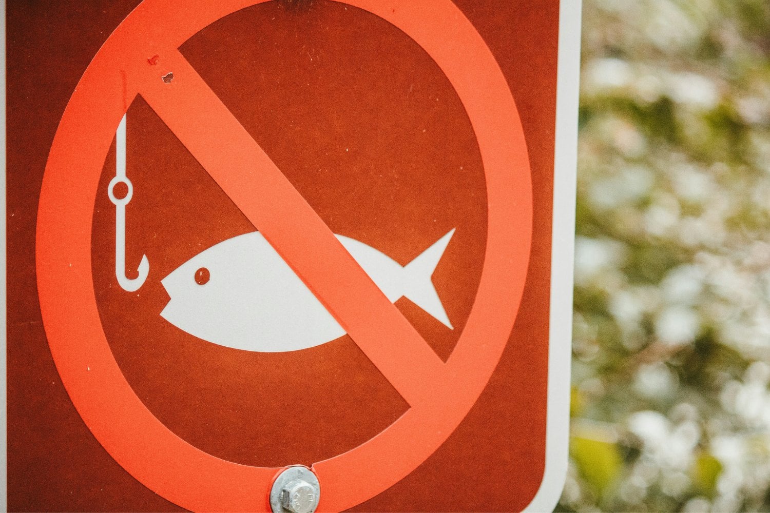 Prohibido Pescar