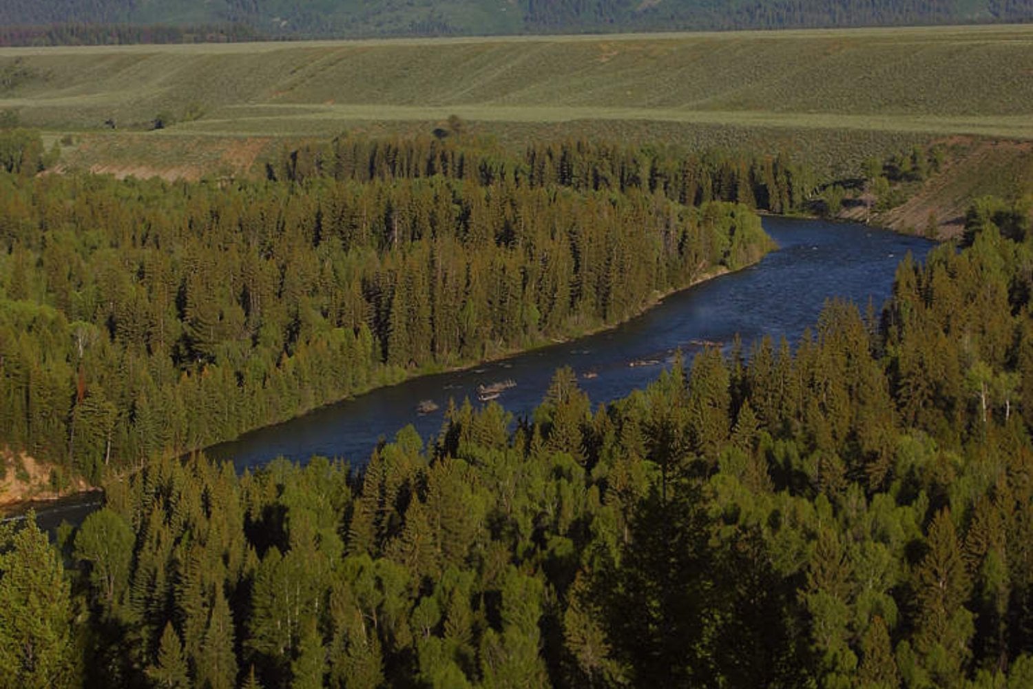 Rio Snake Wyoming
