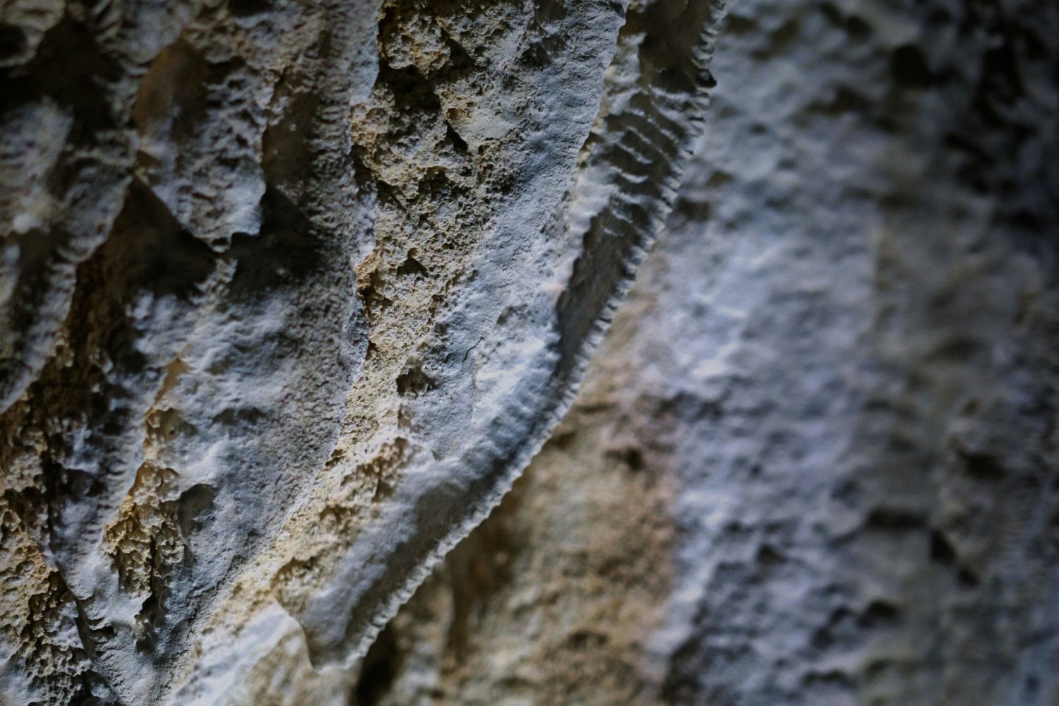 Roca Subterranea