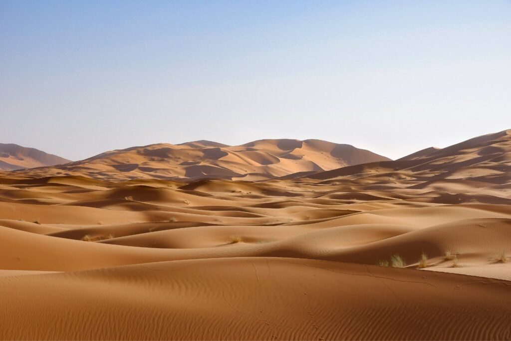 Sahara