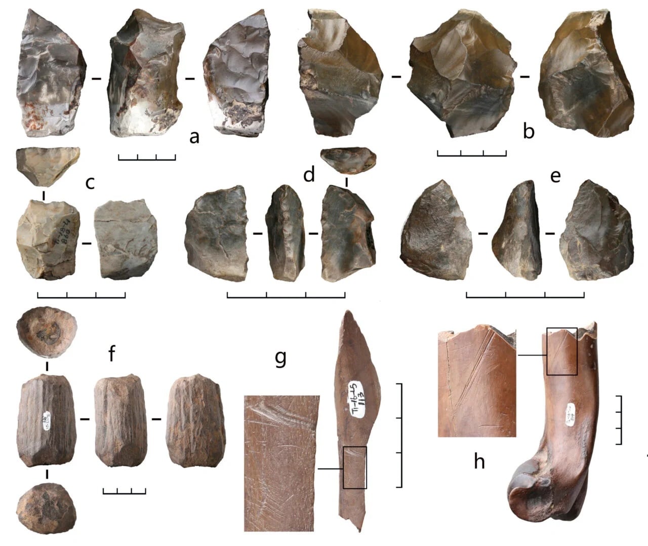 Stone Artifacts Modified Bones Bianfu Denisovans 1280x1078