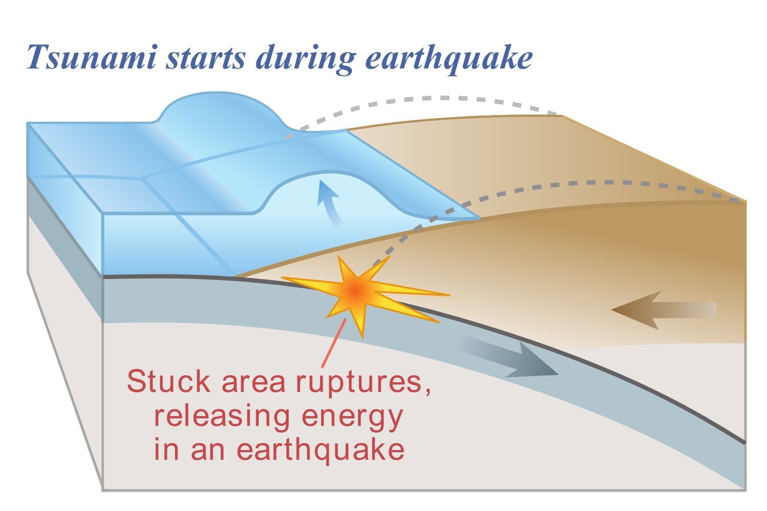 Terremoto Y Tsunami