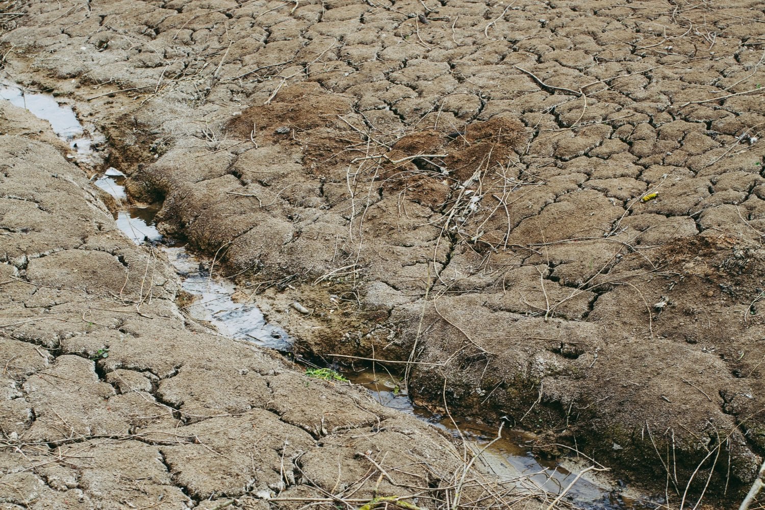 Tierra Seca