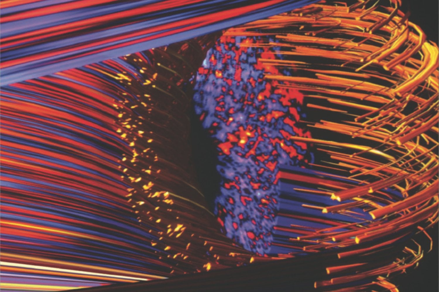 Tokamak Fusion