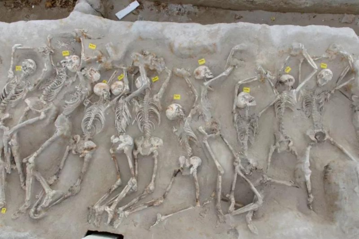 En Atenas encontraron 79 hombres enterrados con grilletes hace 2.600 años. Durante una década parecieron extranjeros, hasta que sus dientes contaron otra historia