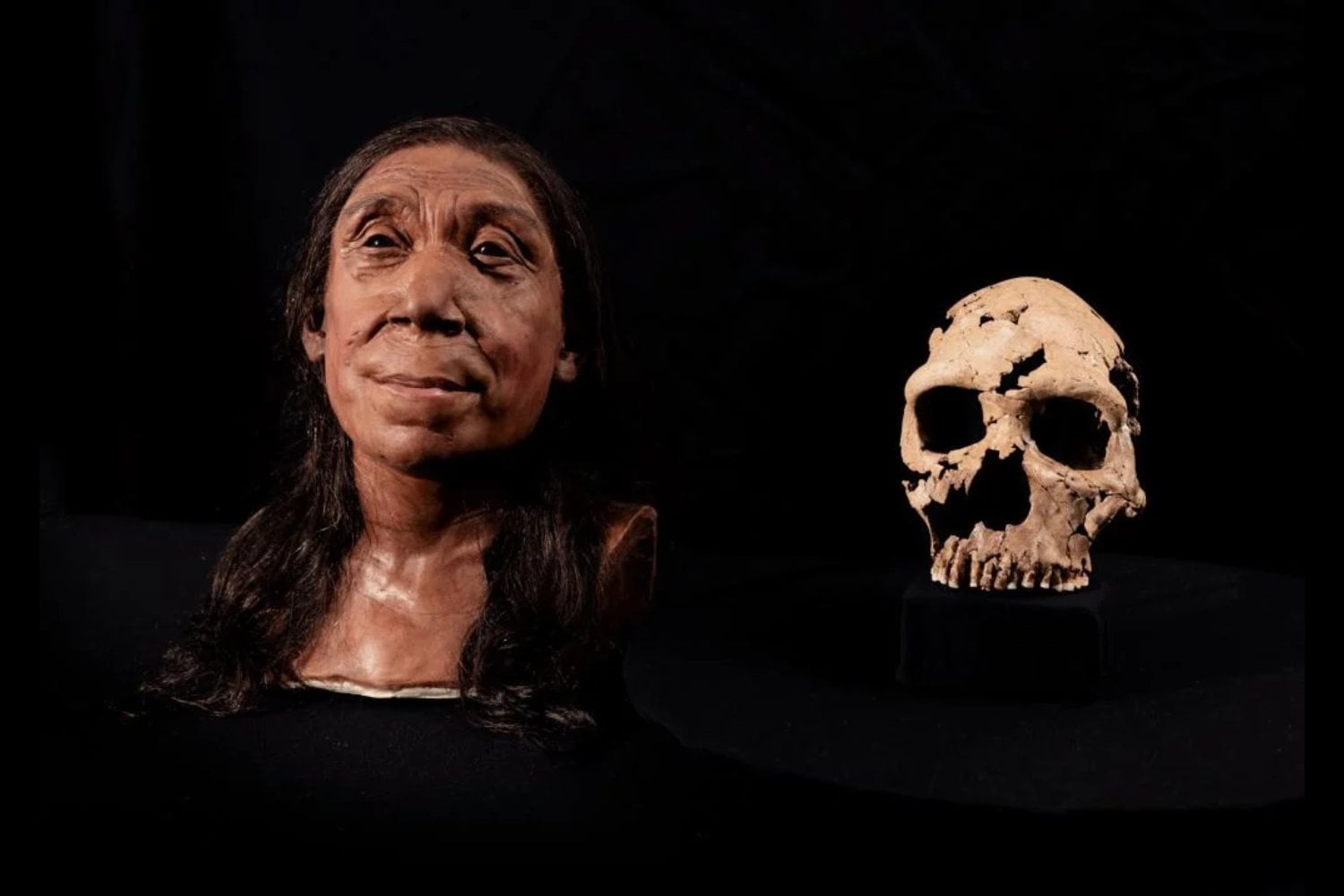 Hace 75.000 años, un neandertal sobrevivió a un golpe brutal en el rostro. Lo que encontraron en sus huesos revela un final todavía más inquietante