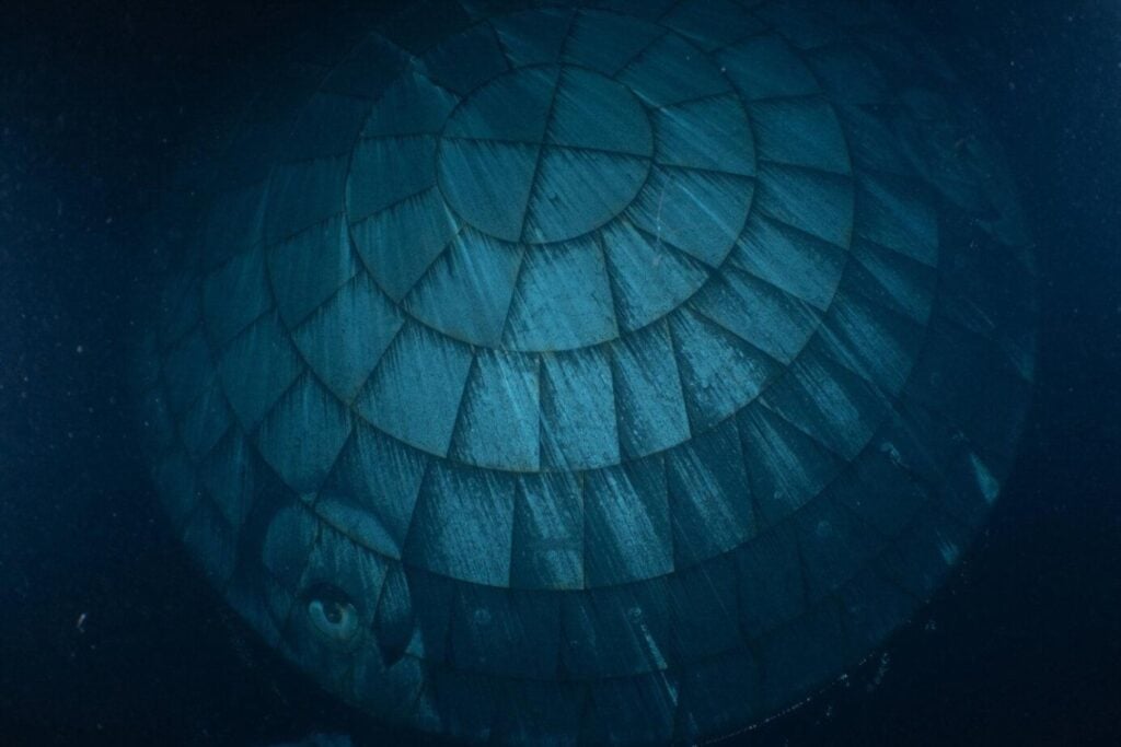 La NASA envió cuatro astronautas a la Luna con una preocupación que arrastraba desde 2022. Ahora sabe hasta qué punto funcionó su solución
