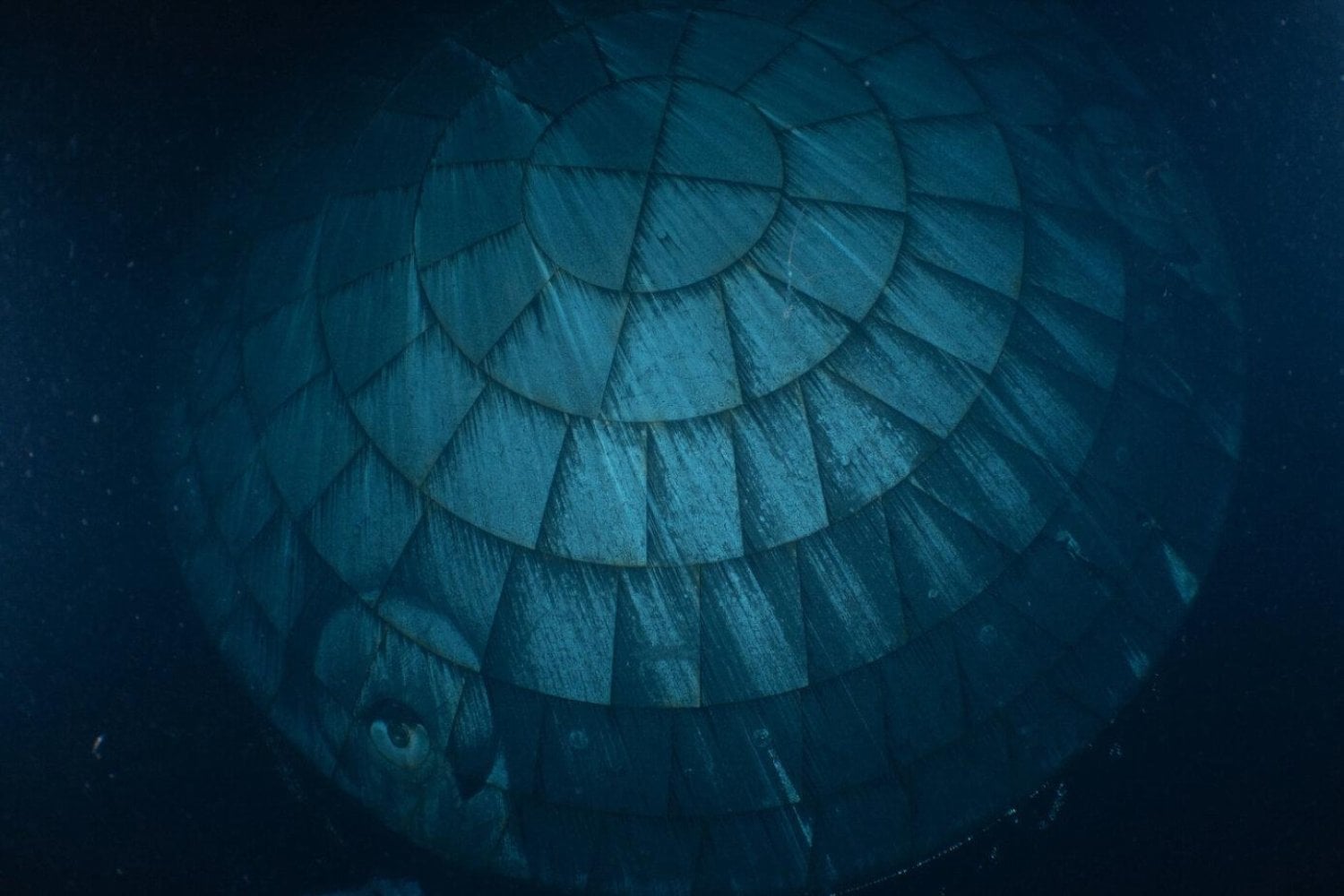 La NASA envió cuatro astronautas a la Luna con una preocupación que arrastraba desde 2022. Ahora sabe hasta qué punto funcionó su solución
