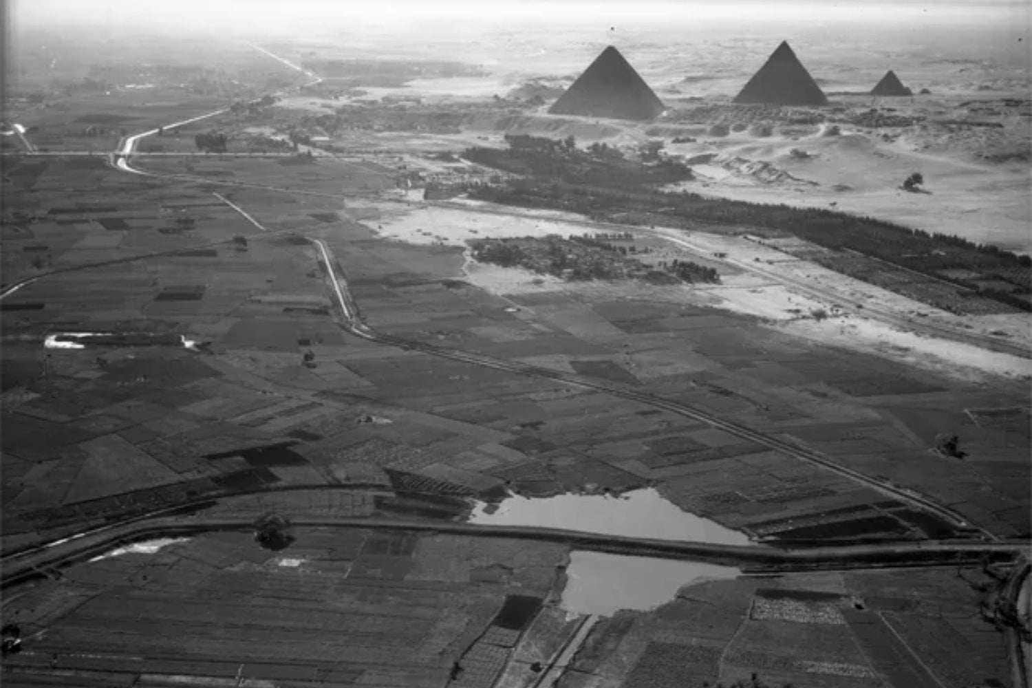 Hace 5.000 años, trabajar para el faraón pudo tener una última obligación: morir con él. Unos viejos cráneos de Abidos acaban de revelar algo que los arqueólogos no supieron ver