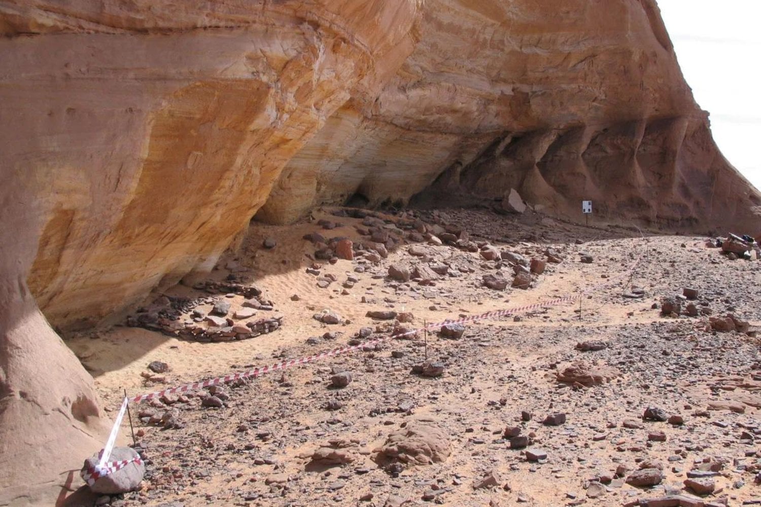Dos mujeres murieron hace 7.000 años en el Sáhara. Su ADN acaba de revelar una historia que no encaja con lo que creíamos sobre África