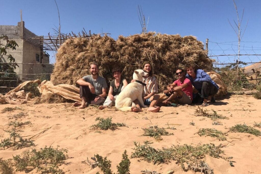 Una pareja ofrece alojamiento en una finca de 6.400 m² en España a cambio de una ayuda muy particular. Sus 13 animales rescatados tienen mucho que ver