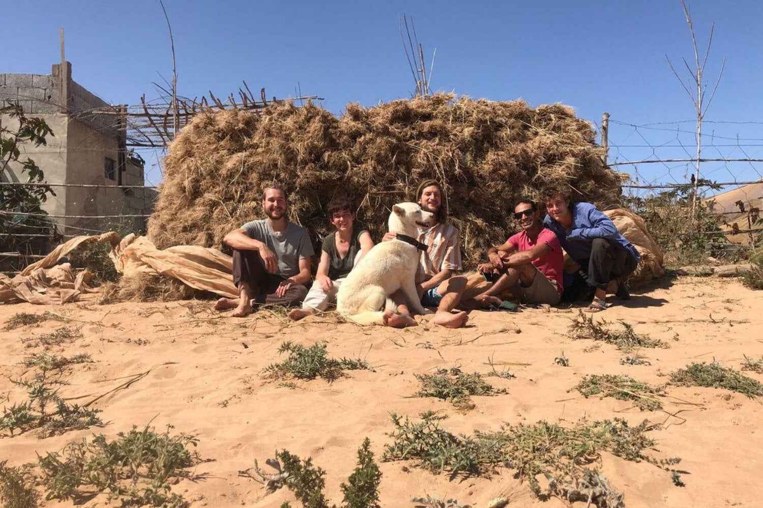Una pareja ofrece alojamiento en una finca de 6.400 m² en España a cambio de una ayuda muy particular. Sus 13 animales rescatados tienen mucho que ver