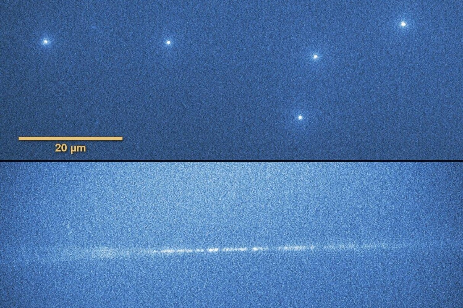 La NASA envió dos cuerpos humanos artificiales a la Luna para descubrir qué les ocurriría a los astronautas. Los resultados de Artemis I revelaron algo inesperado