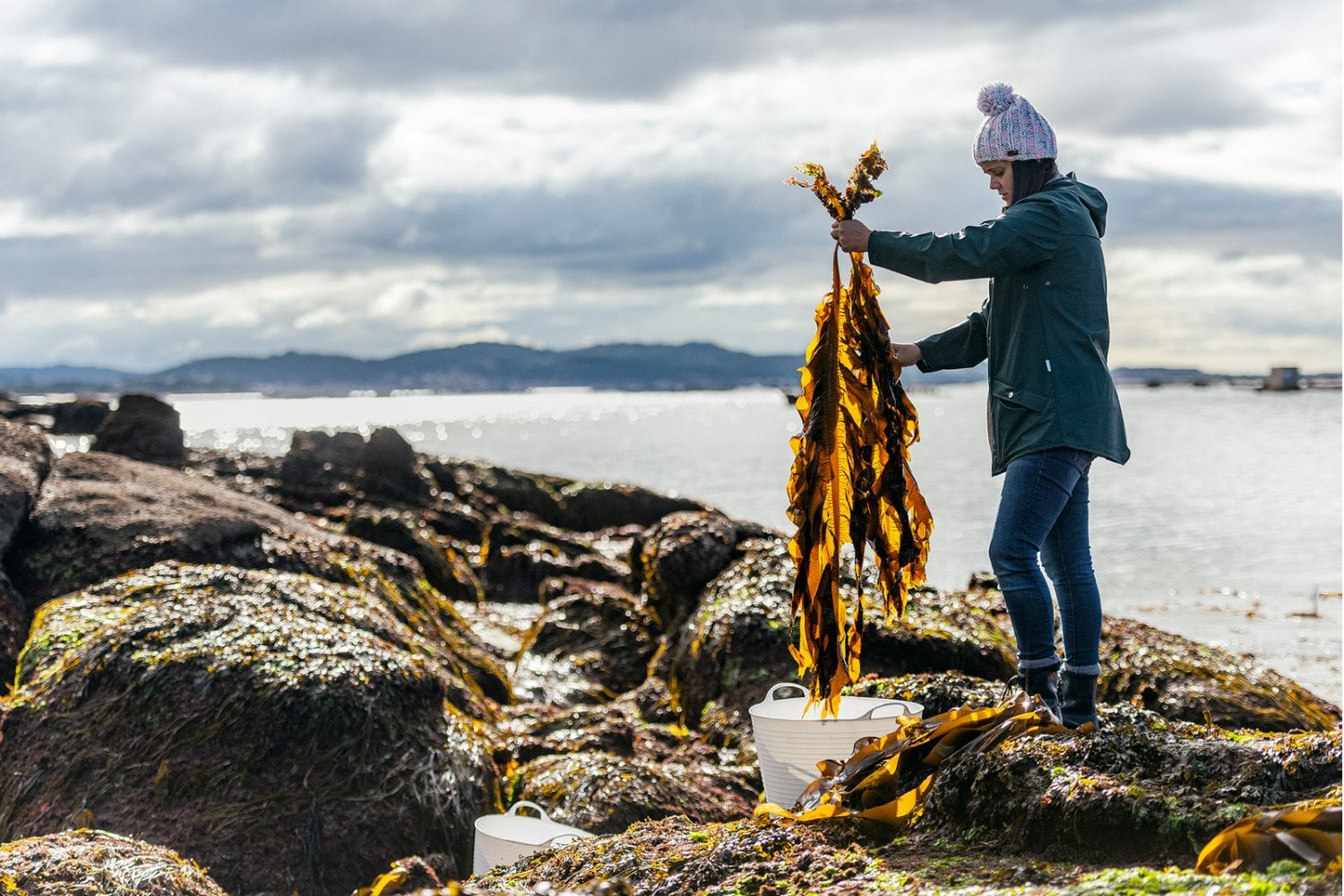 El mar escondía una posible solución contra la sequía y nadie la estaba aprovechando. En Galicia han descubierto cómo utilizar las algas para proteger los cultivos
