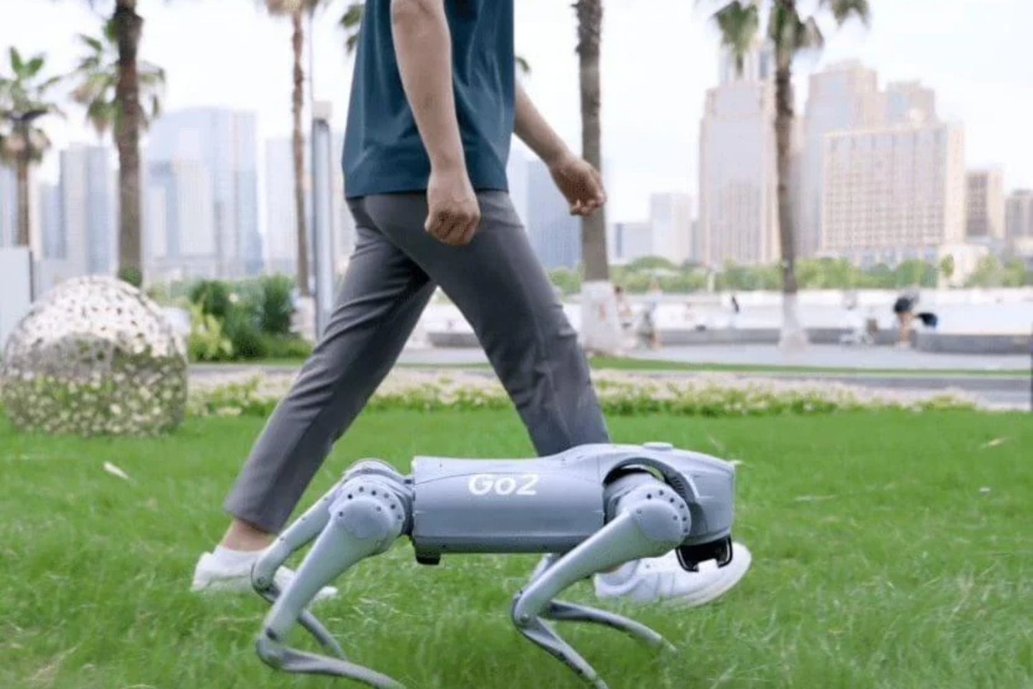Una empresa de Estados Unidos está contratando paseadores de perros robot por 20 dólares la hora. El motivo revela un problema que la IA todavía no sabe resolver