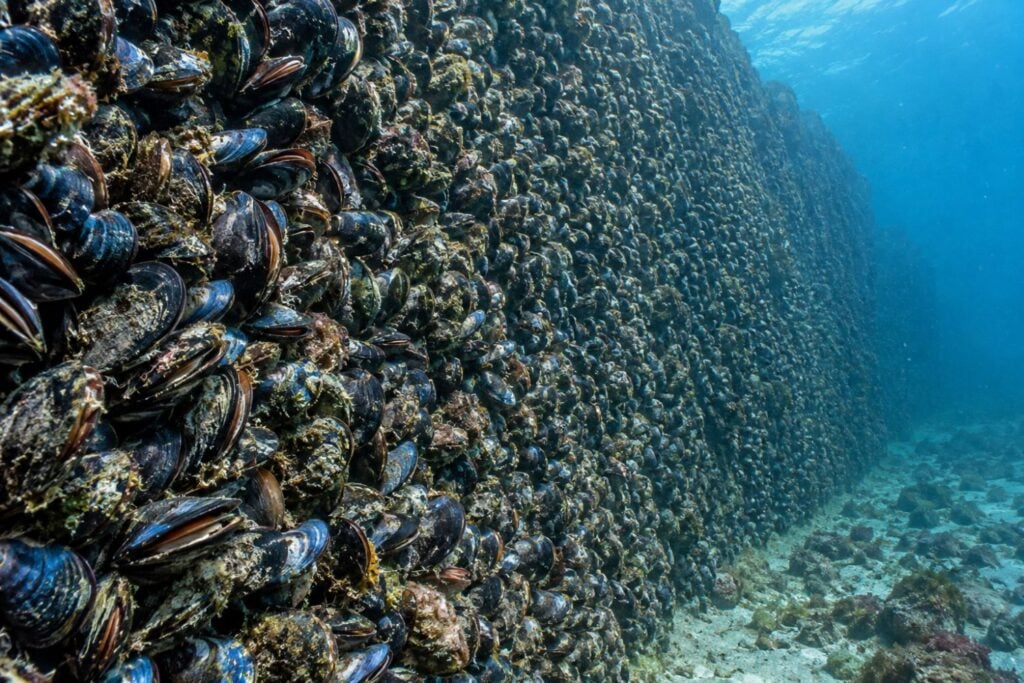 Diseño Sin Título 2026 10 04t100429.674