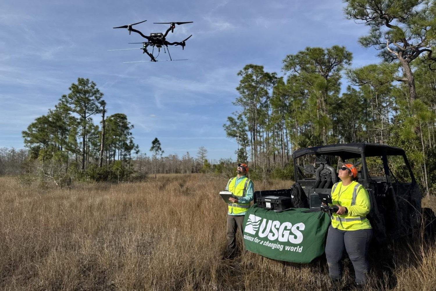 Florida lleva años intentando eliminar una plaga de serpientes gigantes. Ahora ha liberado una pitón de casi cinco metros para combatirlas
