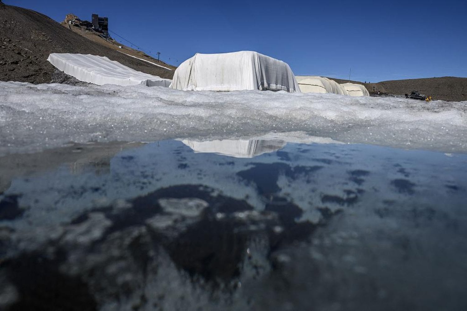 Cuatro estudiantes cubrieron un glaciar suizo con 200 m² de lana de oveja. Tres meses después, la idea dejó de parecer una locura