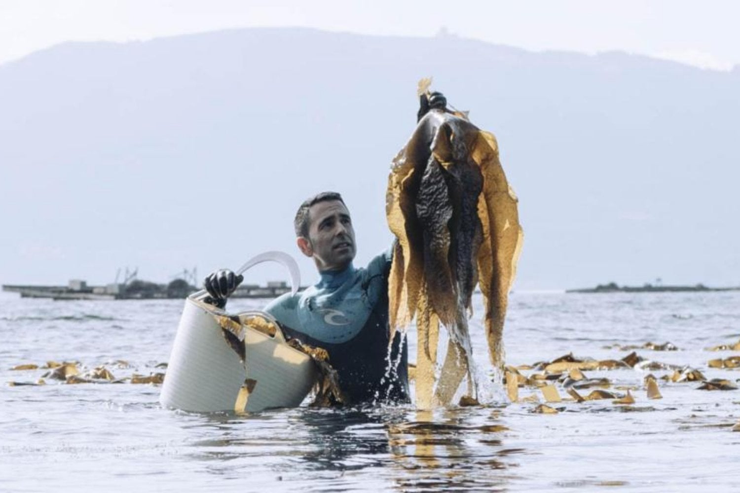 El mar escondía una posible solución contra la sequía y nadie la estaba aprovechando. En Galicia han descubierto cómo utilizar las algas para proteger los cultivos