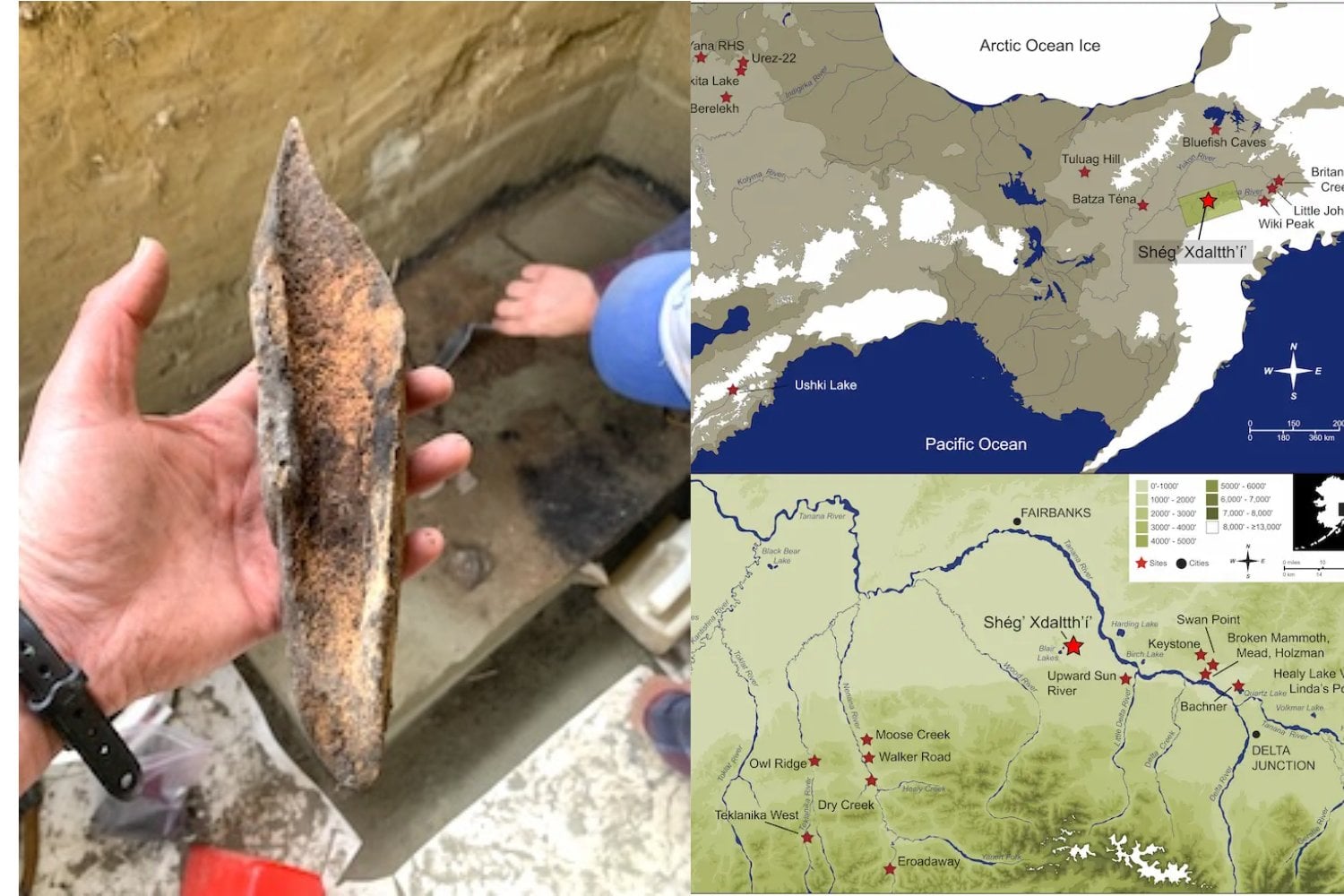 Hace 13.800 años, los humanos ya cazaban gigantes en Alaska. Un campamento recién estudiado acaba de revelar algo más sobre cómo llegaron a América