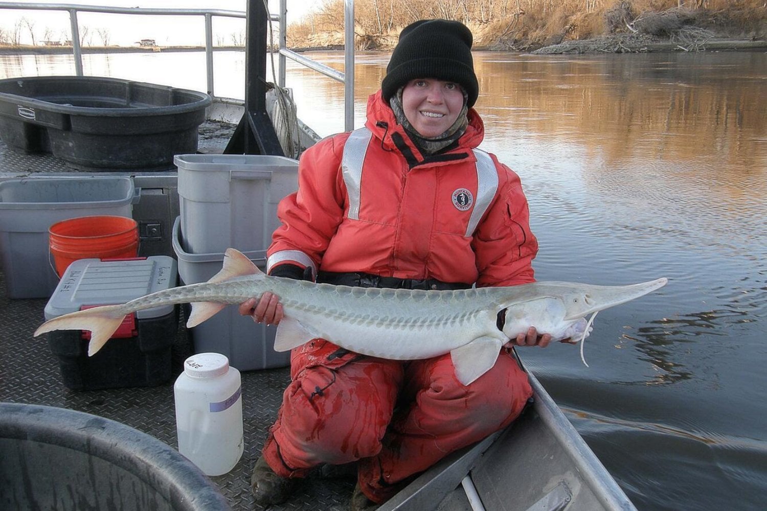 Los científicos tiñeron de rojo un río de Estados Unidos con 50 litros de colorante. Detrás del experimento había una misión mucho más importante: salvar a un pez de la extinción